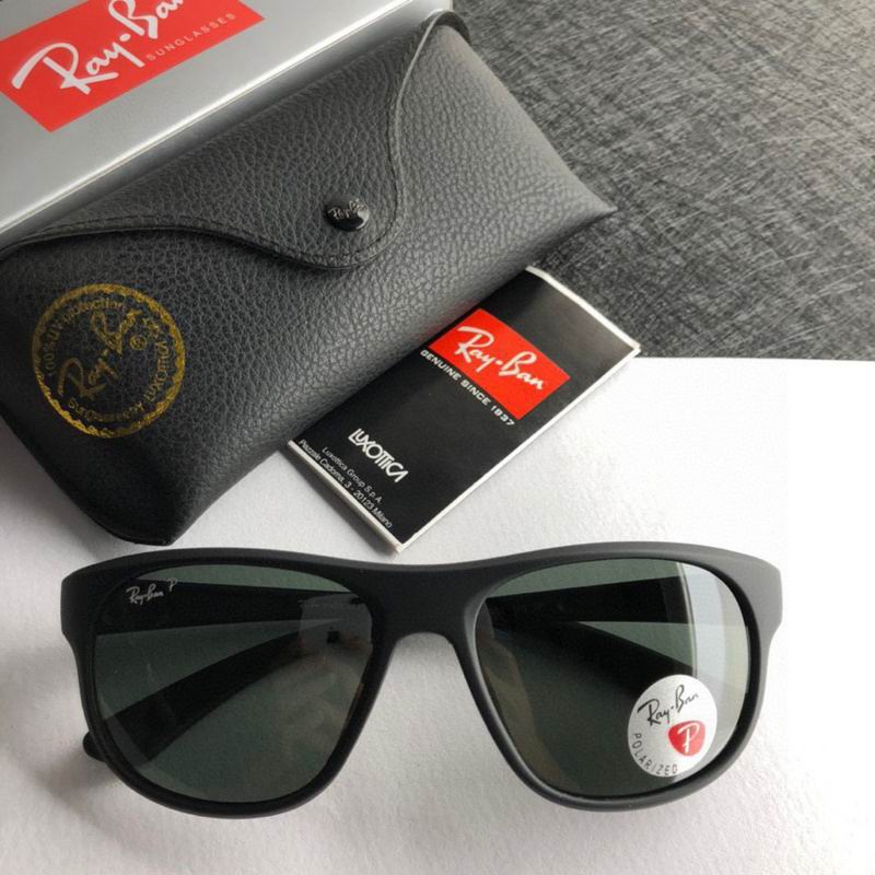 Rayban Glasses (271)